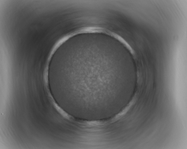 X0000115531421200911131456