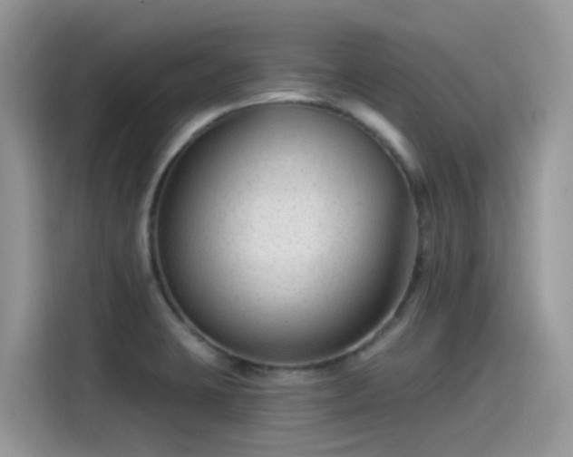 X0000115531423200911131456