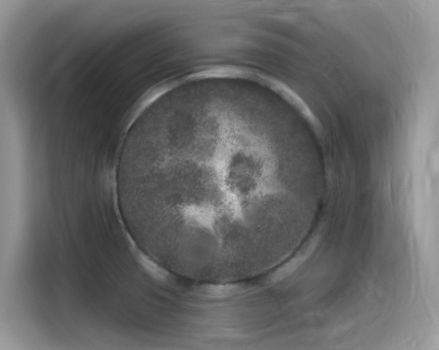 X0000115531425200911131456