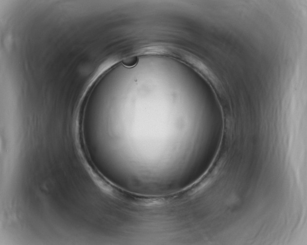 X0000115531426200911131456