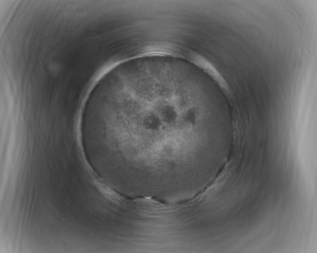 X0000115531427200911131456