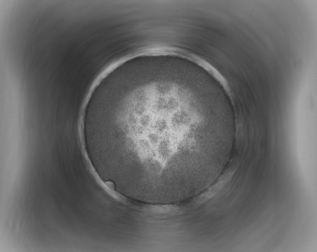 X0000115531429200911131456