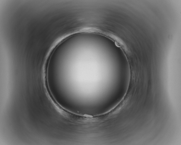 X0000115531430200911131456