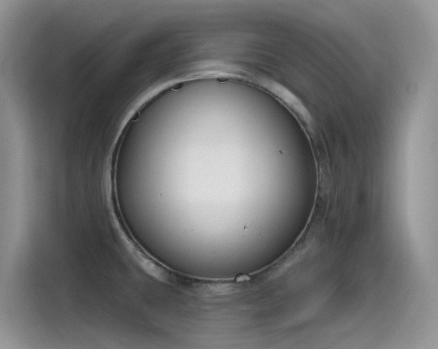 X0000115531431200911131456