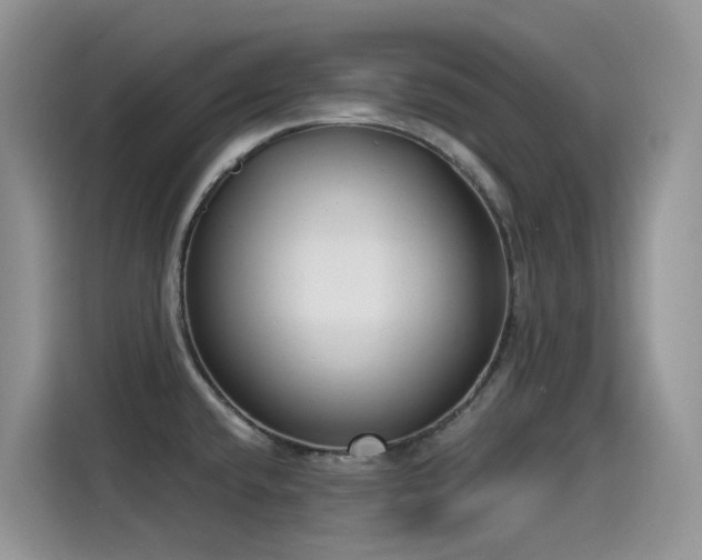 X0000115531432200911131456