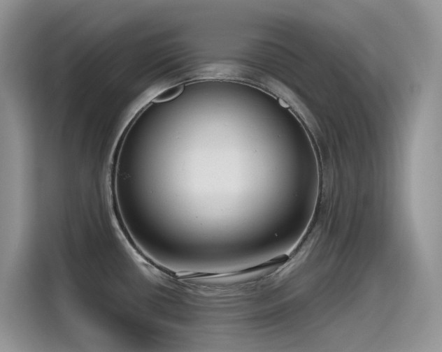 X0000115531434200911131456