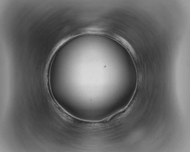 X0000115531435200911131456