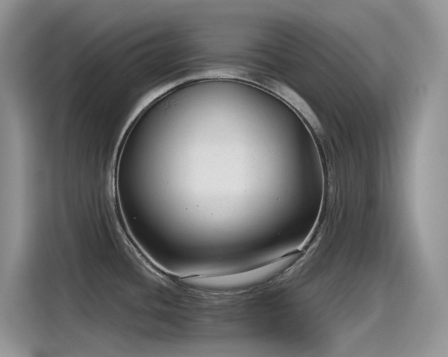 X0000115531436200911131456