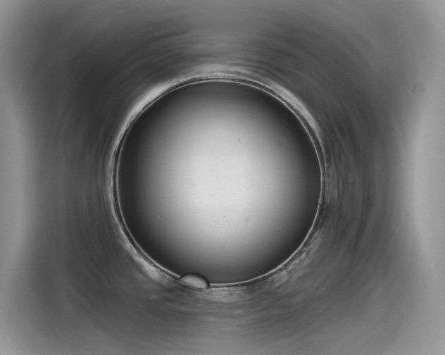 X0000115531437200911131456