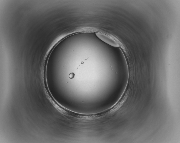 X0000115531438200911131456