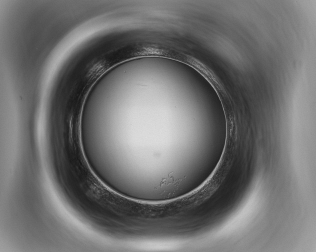 X0000115531439200911131456