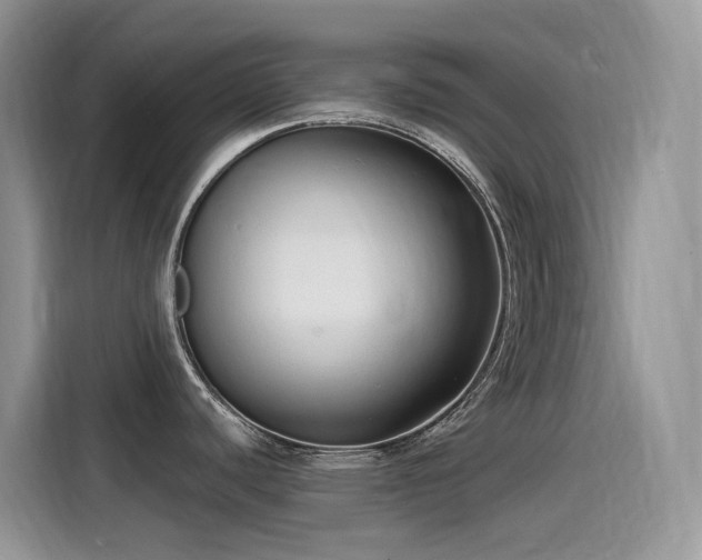 X0000115531440200911131456