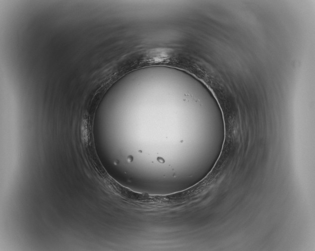 X0000115531442200911131456