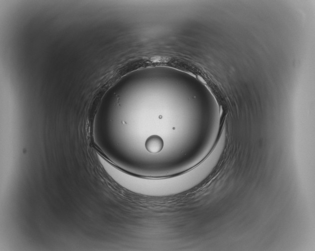 X0000115531443200911131456