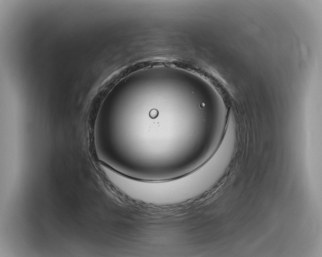 X0000115531448200911131456