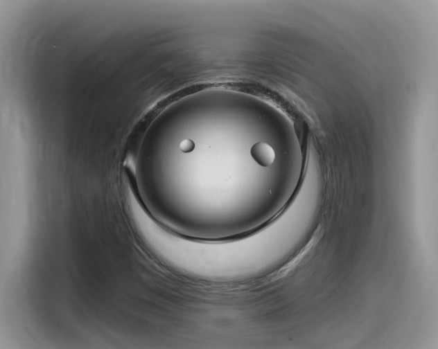 X0000115531449200911131456