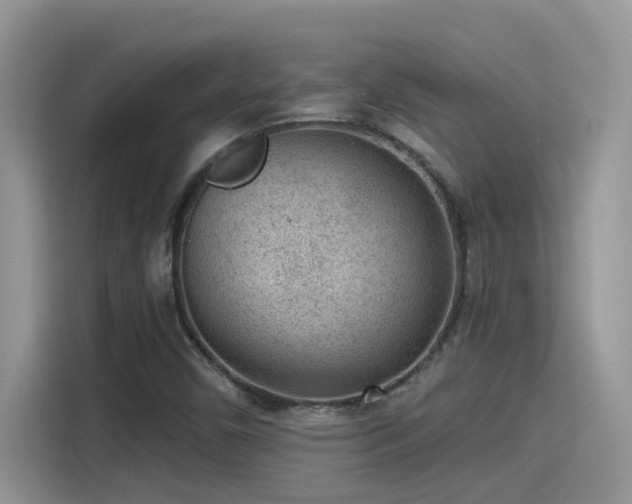 X0000115531450200911131456