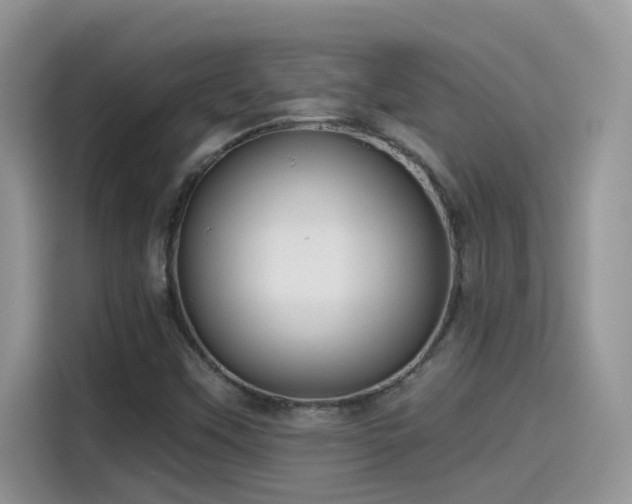 X0000115531451200911131456