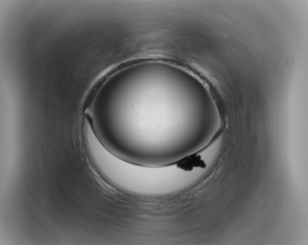 X0000115531452200911131456