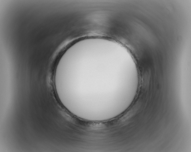 X0000115531454200911131456