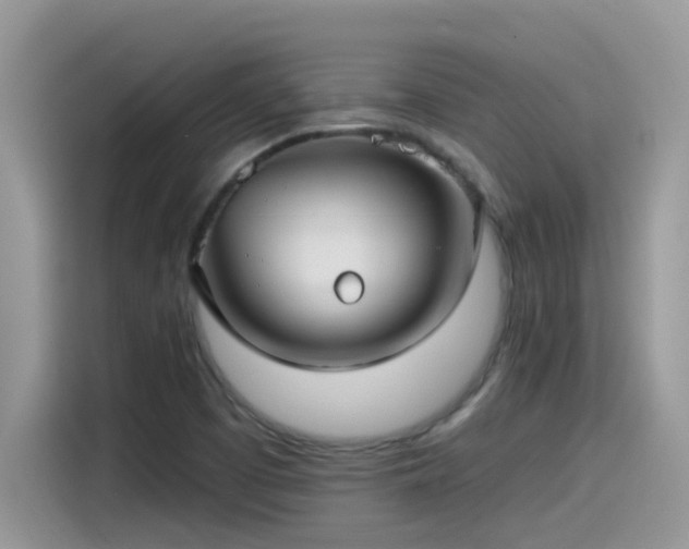 X0000115531457200911131456