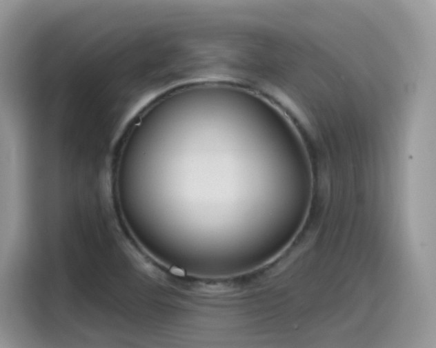 X0000115531460200911131456