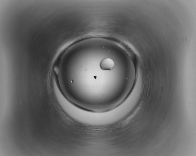 X0000115531461200911131456