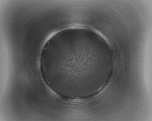 X0000115531463200911131455