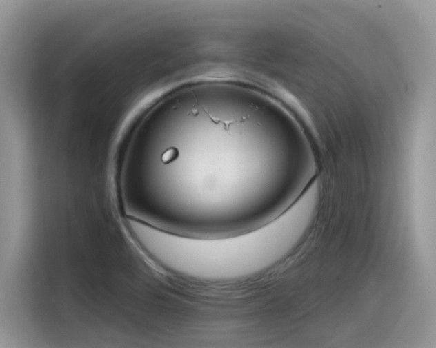 X0000115531464200911131455