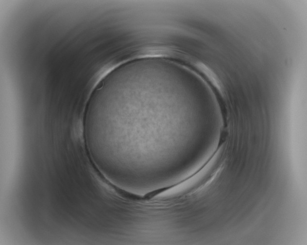 X0000115531465200911131455