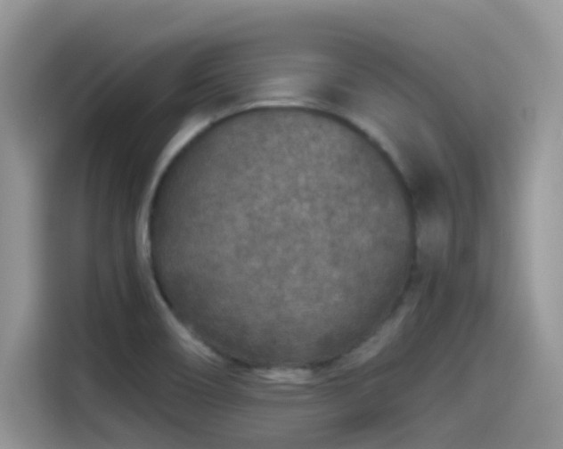 X0000115531466200911131455