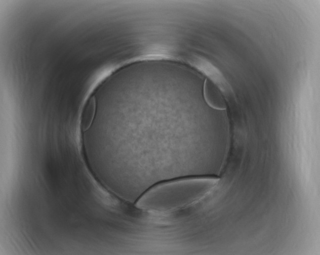 X0000115531469200911131455