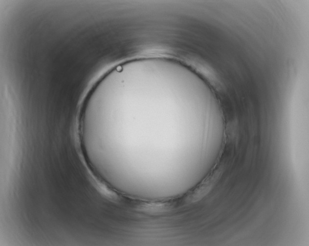 X0000115531470200911131455