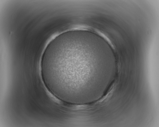 X0000115531471200911131455