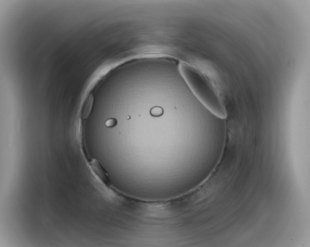 X0000115531472200911131455