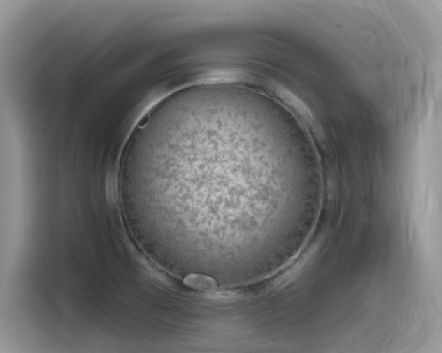 X0000115531473200911131455