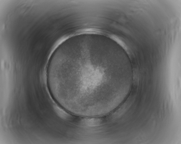 X0000115531474200911131455