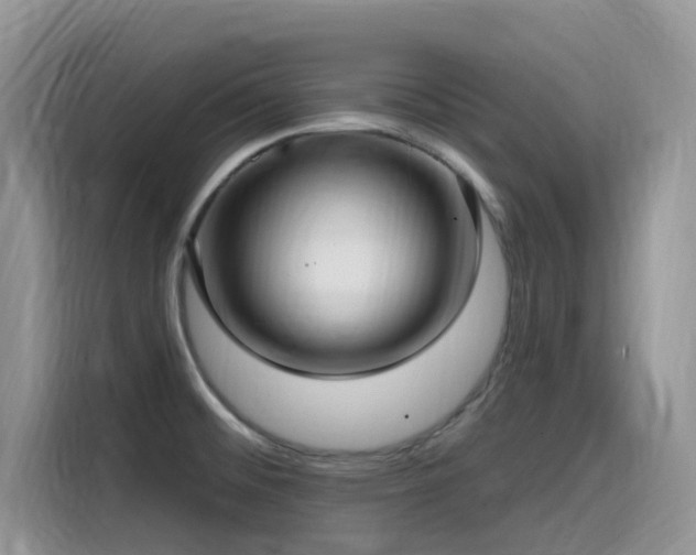 X0000115531476200911131455