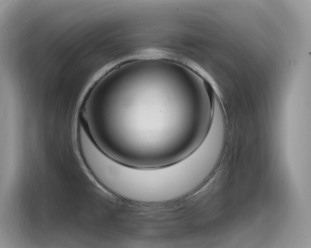 X0000115531477200911131455