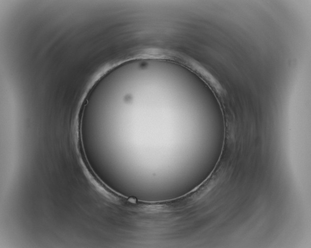 X0000115531479200911131455