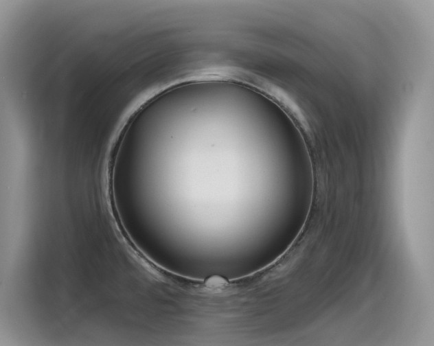 X0000115531480200911131455