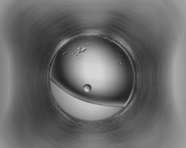 X0000115531481200911131455