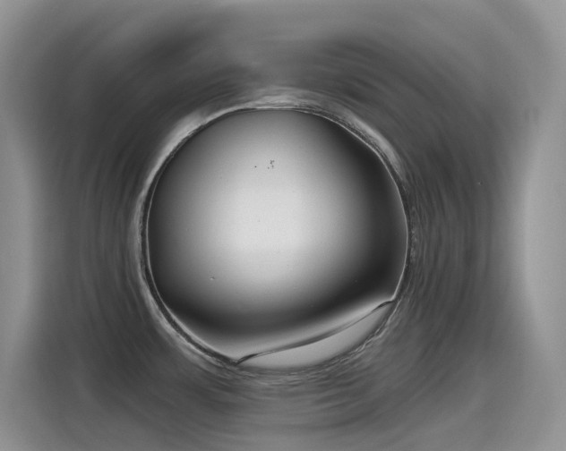 X0000115531483200911131455