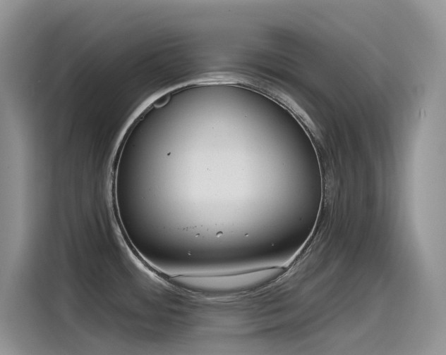 X0000115531484200911131455