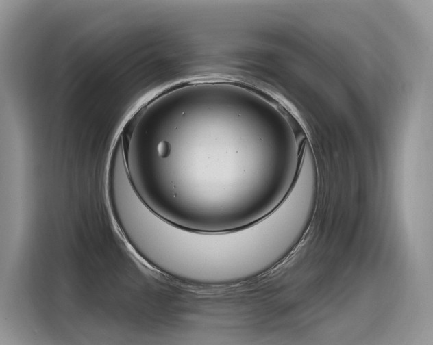 X0000115531485200911131455