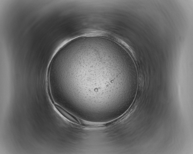 X0000115531487200911131455