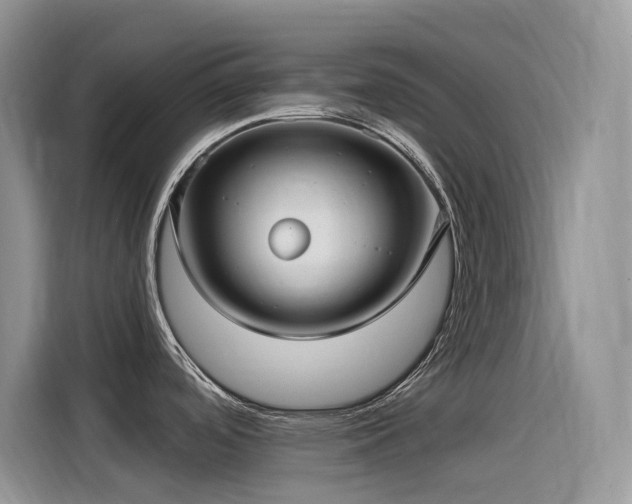 X0000115531488200911131455