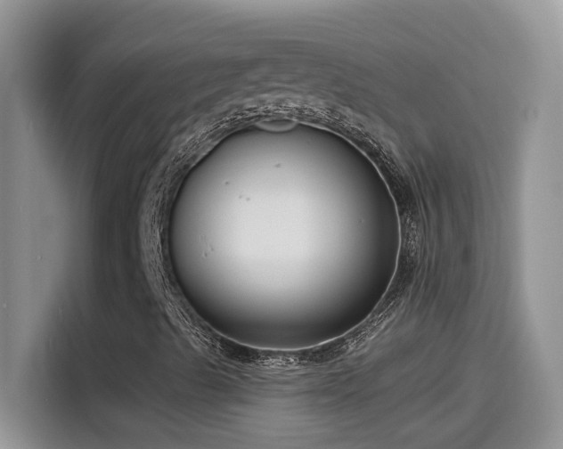 X0000115531489200911131455