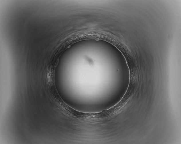 X0000115531490200911131455