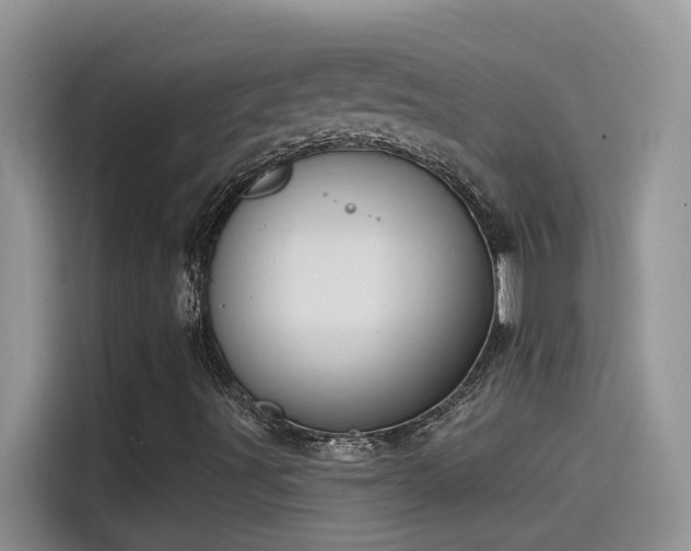 X0000115531491200911131455